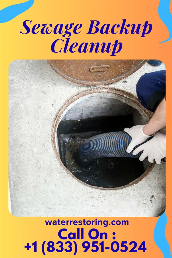 Sewage Backup Cleanup in Sand Springs, TX